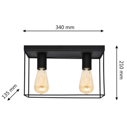 Mennyezeti lámpa FINN 2xE27/15W/230V fekete