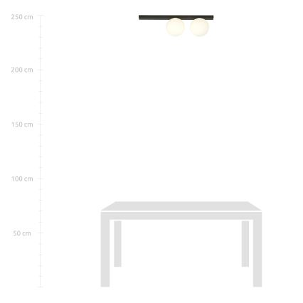 Mennyezeti lámpa FIT 2xE14/10W/230V fekete/fehér