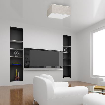 Mennyezeti lámpa LINO 2xE27/60W/230V