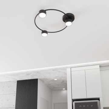 Mennyezeti lámpa LUCIO 3xGX53/12W/230V fekete