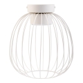 Mennyezeti lámpa OVELLA 1xGX53/10W/230V átm. 25 cm krémszínű