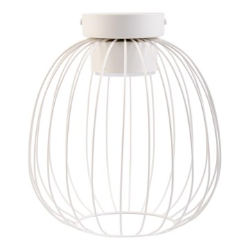 Mennyezeti lámpa OVELLA 1xGX53/10W/230V átm. 25 cm krémszínű