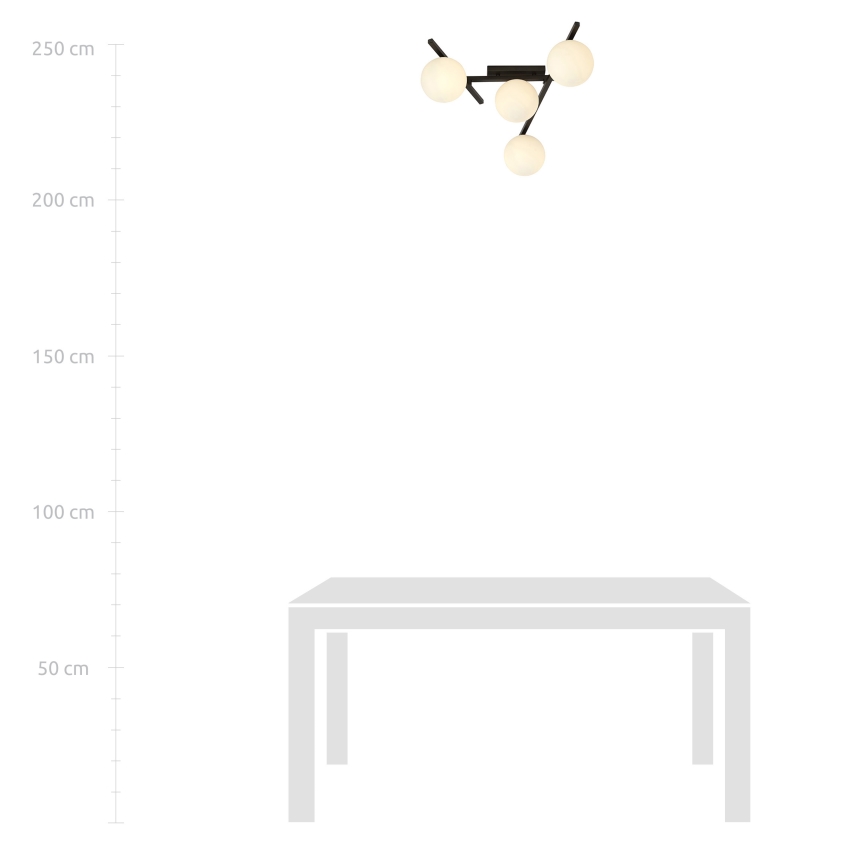 Mennyezeti lámpa SMART 4xE14/10W/230V fekete/fehér