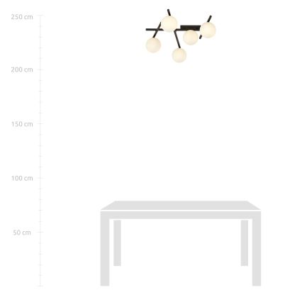 Mennyezeti lámpa SMART 5xE14/10W/230V fekete/fehér