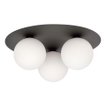 Mennyezeti lámpa SOLAR 3xE14/10W/230V fekete/fehér