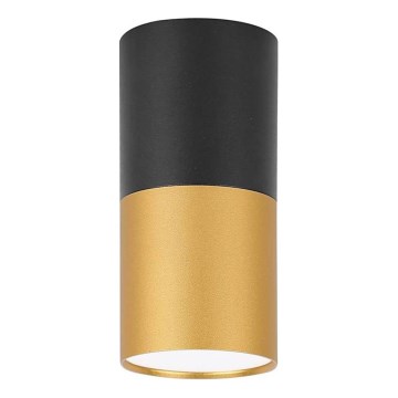 Mennyezeti lámpa TUBA 1xGU10/15W/230V