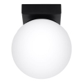 Mennyezeti lámpa YOLI 1xG9/12W/230V fekete