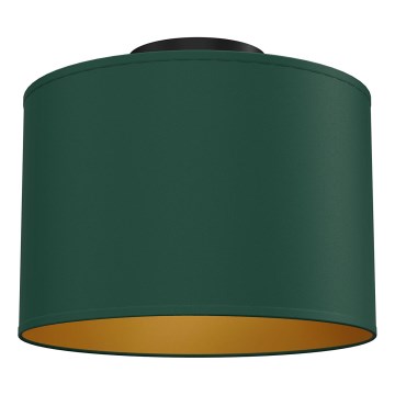 Mennyezeti lámpatest ARDEN 1xE27/15W/230V, átmérő 25 cm, zöld