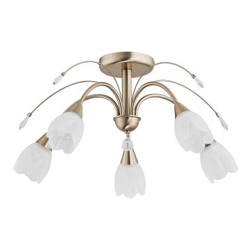 Mennyezeti lámpatest BASTER 5xE14/10W/230V aranyszínű