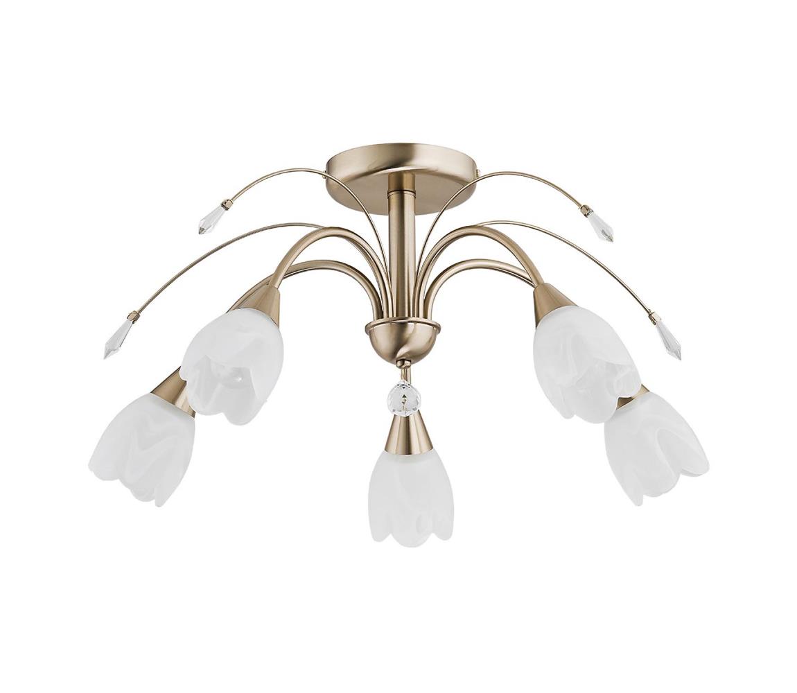 Mennyezeti lámpatest BASTER 5xE14/10W/230V aranyszínű 22805