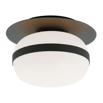 Mennyezeti lámpatest PALMA 1xE27/40W/230V fekete