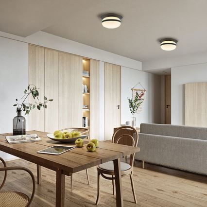 Mennyezeti lámpatest PALMA 1xE27/40W/230V fekete