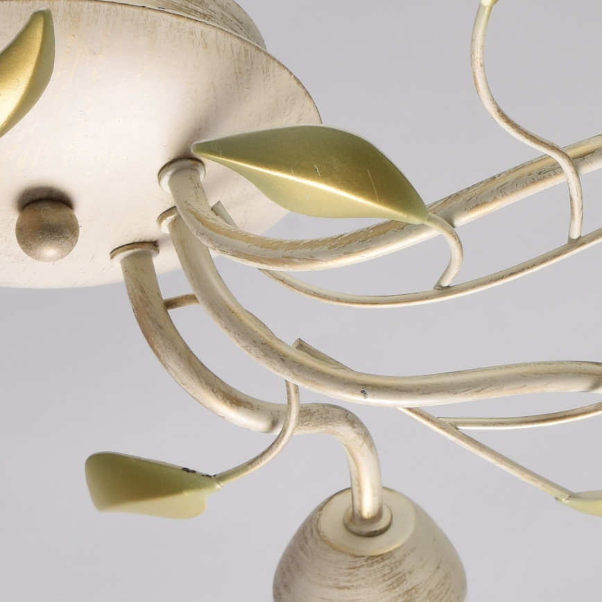 MW-LIGHT - Csillár FLORA 6xE14/60W/230V