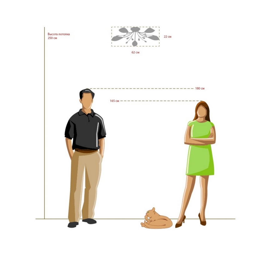 MW-LIGHT - Csillár MEGAPOLIS 5xE14/60W/230V