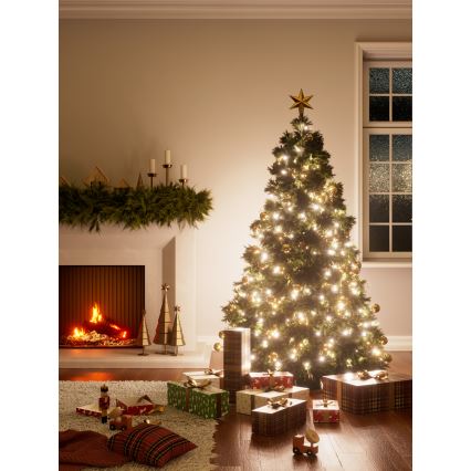 Nanoleaf - LED RGBW Kültéri karácsonyi lánc ESSENTIALS 250xLED 2x10m 2700-6500K Wi-Fi IP44