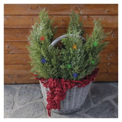 Napelemes LED dekoráció 50xLED/3W/1,2V 600 mAh IP44