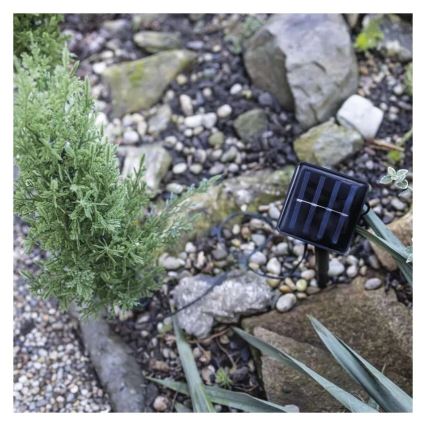 Napelemes LED dekoráció 50xLED/3W/1,2V 600 mAh IP44