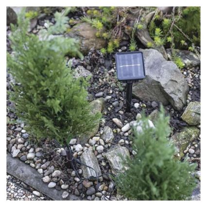 Napelemes LED dekoráció 50xLED/3W/1,2V 600 mAh IP44