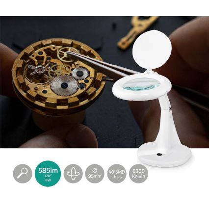 LED Asztali lámpa nagyítóval LED/6,5W/230V 6500K