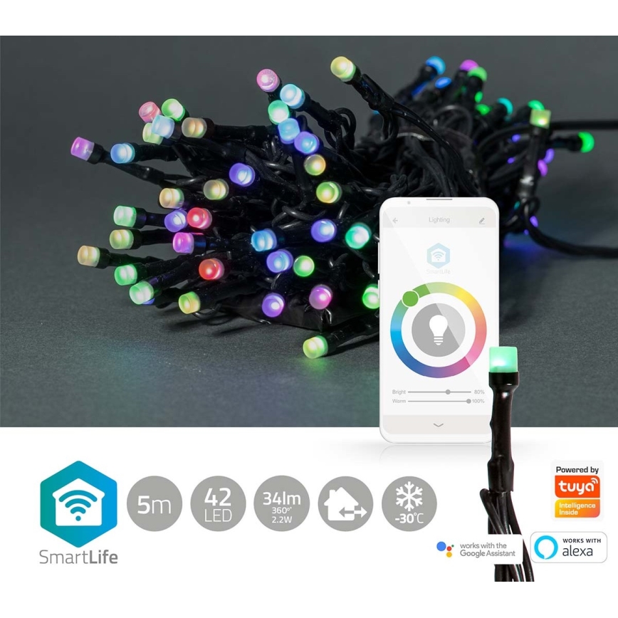 LED RGB Kültéri karácsonyi fényfüzér 42xLED/8 funkcióval 8m IP65 Wi-Fi Tuya