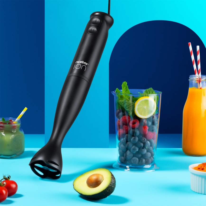 Niceboy Twister T1 - Rúdmixer 500W/230V fekete