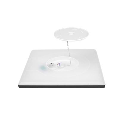 LED Fürdőszobai mennyezeti lámpa NIVERA LED/12W/230V IP54 3000/4000/6000K 22,5x22,5 cm fekete