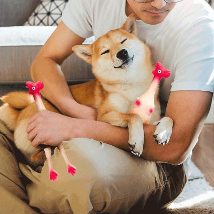 Nobleza - Csipogó kutyajáték csirke