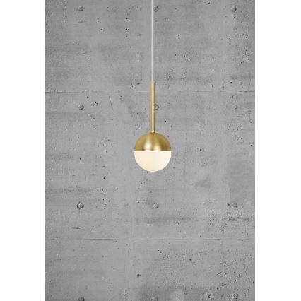 Nordlux - CONTINA függőlámpa kábellel 1xG9/5W/230V sárgaréz