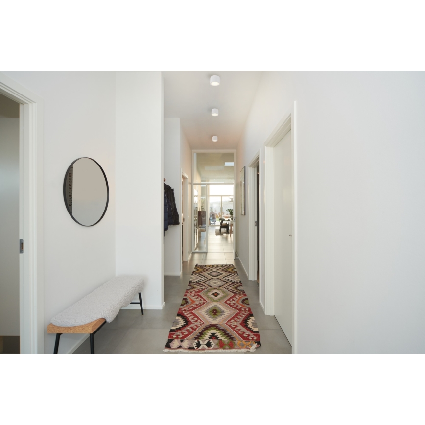 Nordlux - LED dimmelhető spotlámpa FALLON LED/5,5W/230V fehér