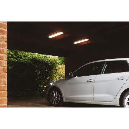 Nordlux - LED Ipari lámpa BURBANK LED/31W/230V 4000K IP65