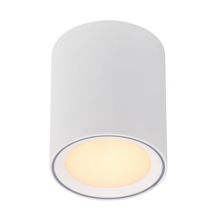 Nordlux - LED Dimmelhető spotlámpa FALLON LONG LED/5,5W/230V fehér