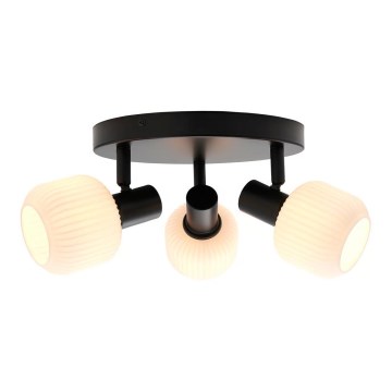 Nordlux - Spotlámpa MILFORD 3xE14/25W/230V