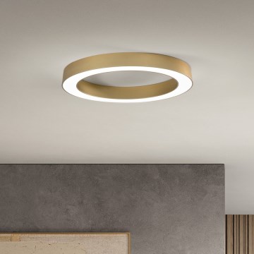 Ondaluce - LED dimmelhető mennyezeti lámpatest GLOBUS LED/40W/230V 3000/4000K átm. 60 cm arany