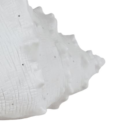 ONLI - Asztali lámpa PORCELLANA 1xE14/6W/230V 29 cm kagyló