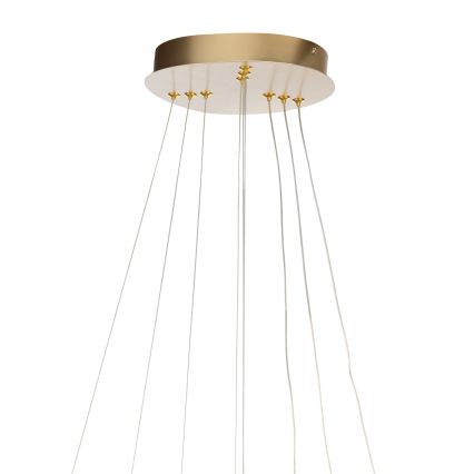 ONLI - LED csillár kábelen NOELIA LED/40W/230V arany