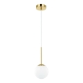 Open Design OR80087 - Fürdőszobai kábelre függesztett csillár BAO 1xG9/8W/230V IP44 arany