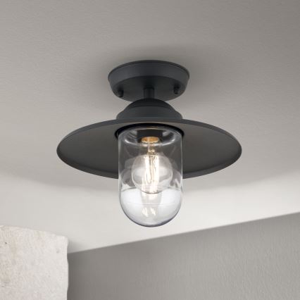 Kültéri felületre szerelhető csillár EDWARD 1xE27/60W/230V IP44 antracit