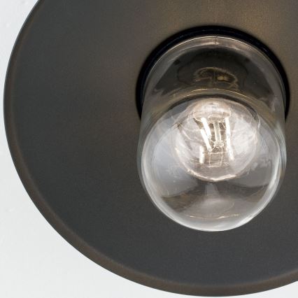 Kültéri felületre szerelhető csillár EDWARD 1xE27/60W/230V IP44 antracit