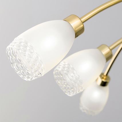 CARLA rúdon függő csillár 8xG9/28W/230V arany