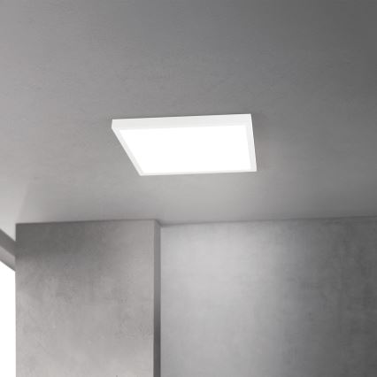 Dimmelhető LED mennyezeti lámpatest DISC LED/30W/230V 2700/3000/4000K 39x39 cm fehér