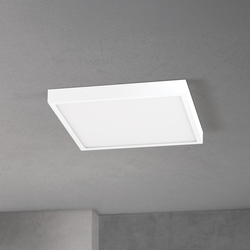 Dimmelhető LED mennyezeti lámpatest DISC LED/30W/230V 2700/3000/4000K 39x39 cm fehér