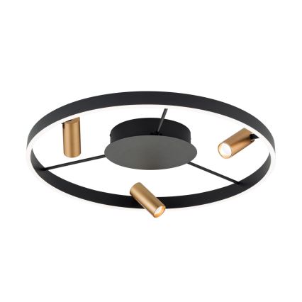 LED Fényerőszabályzós mennyezeti lámpa BERLIN LED/50W/230V fekete/arany