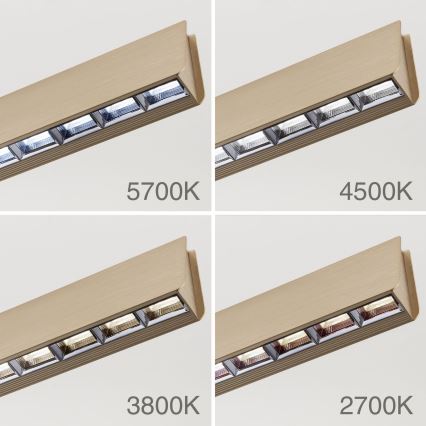 LED Fényerőszabályzós csillár kábelre TARA LED/44W/230V 2700/3800/4500/5700K arany