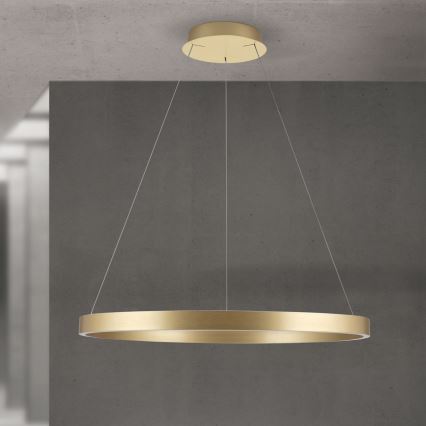LED dimmelhető, kábelre függesztett csillár KOLK LED/80W/230V 2700/3000/4000K átm. 80 cm arany