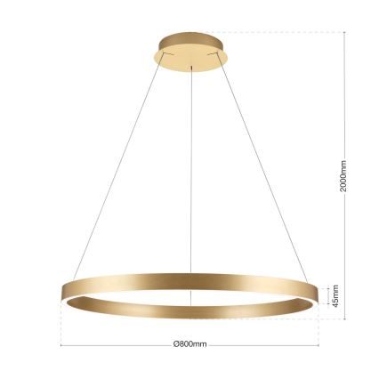 LED dimmelhető, kábelre függesztett csillár KOLK LED/80W/230V 2700/3000/4000K átm. 80 cm arany