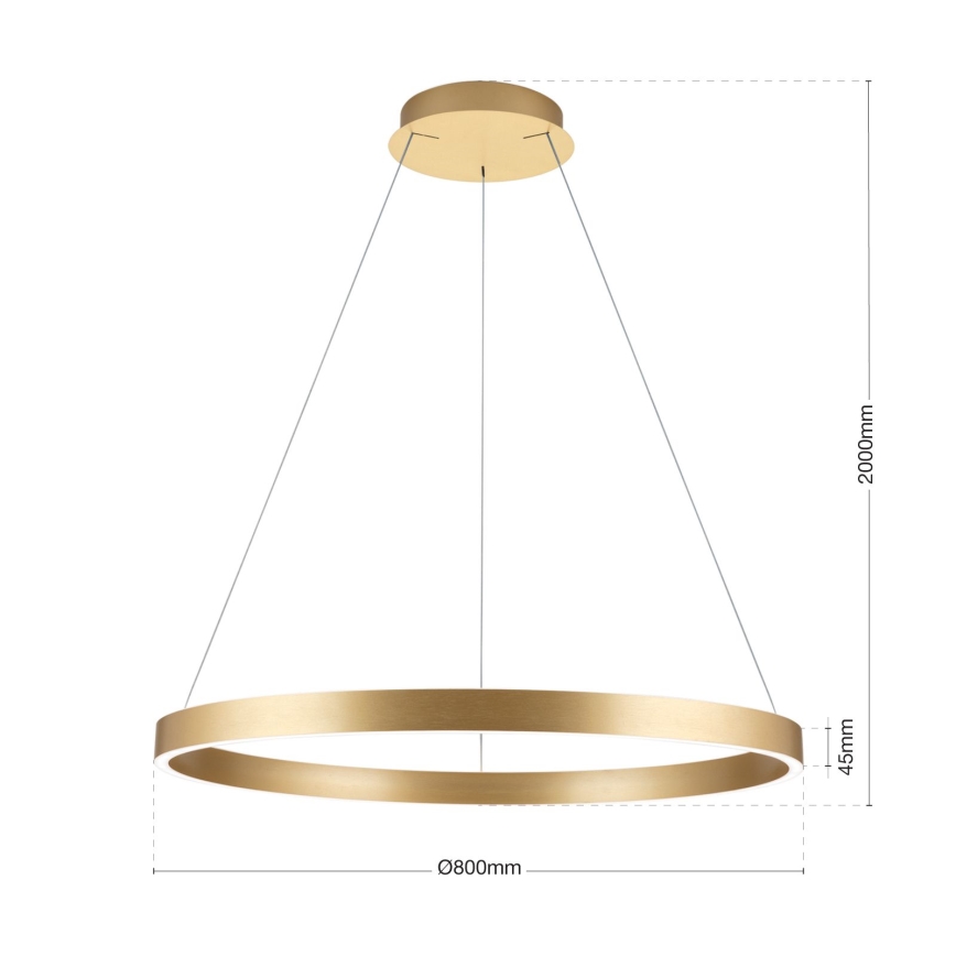 LED dimmelhető, kábelre függesztett csillár KOLK LED/80W/230V 2700/3000/4000K átm. 80 cm arany