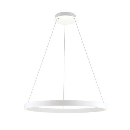 KOLK dimmelhető LED csillár kábelen LED/80W/230V 2700/3000/4000K Ø 80 cm fehér