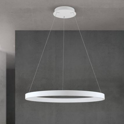 KOLK dimmelhető LED csillár kábelen LED/80W/230V 2700/3000/4000K Ø 80 cm fehér