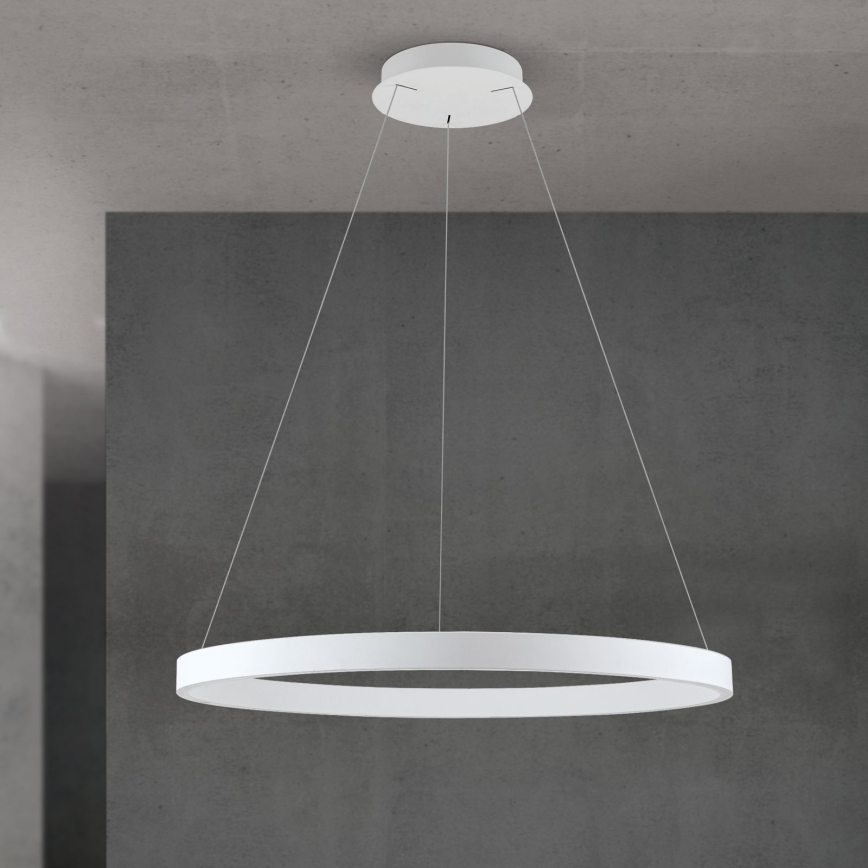 KOLK dimmelhető LED csillár kábelen LED/80W/230V 2700/3000/4000K Ø 80 cm fehér