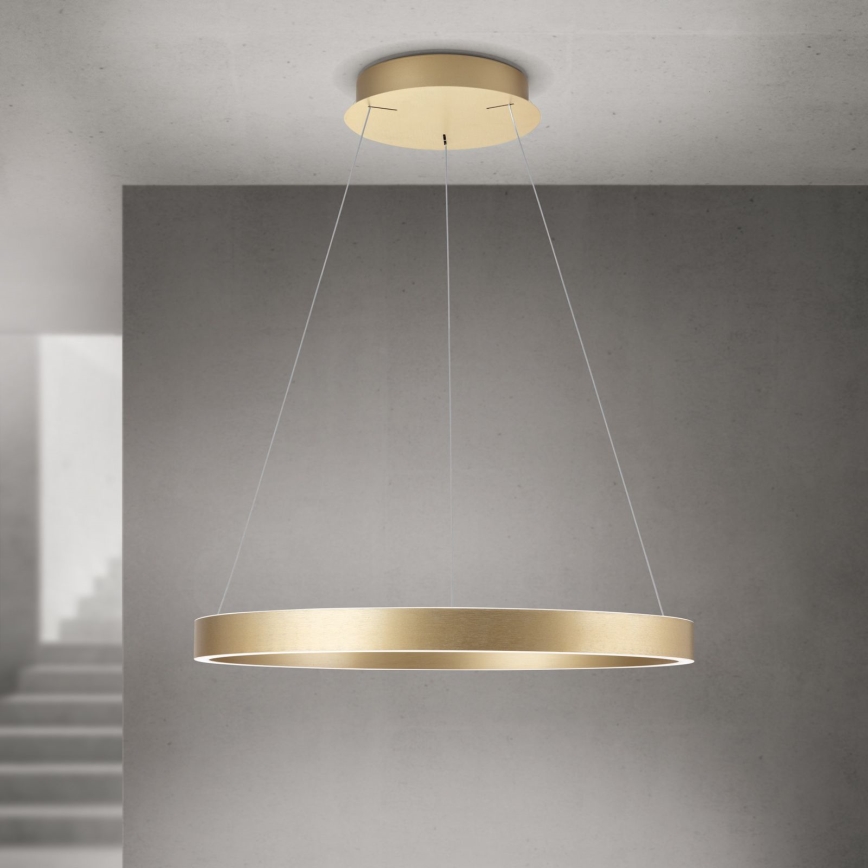 LED dimmelhető kábeles csillár KOLK LED/60W/230V 2700/3000/4000K Ø 60 cm arany